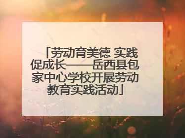劳动育美德 实践促成长——岳西县包家中心学校开展劳动教育实践活动