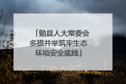 勉县人大常委会多措并举筑牢生态环境安全底线