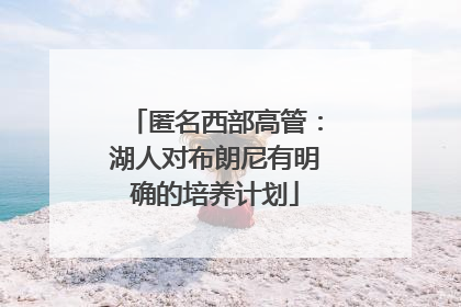 匿名西部高管：湖人对布朗尼有明确的培养计划