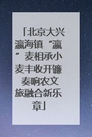 北京大兴瀛海镇“瀛”麦相承小麦丰收开镰 奏响农文旅融合新乐章