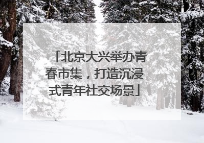 北京大兴举办青春市集，打造沉浸式青年社交场景