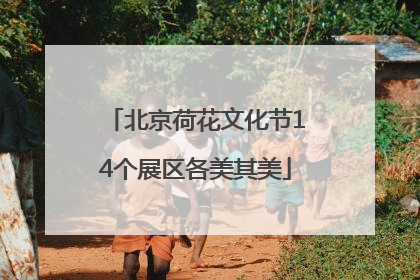 北京荷花文化节14个展区各美其美