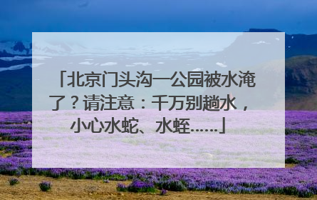 北京门头沟一公园被水淹了？请注意：千万别趟水，小心水蛇、水蛭……