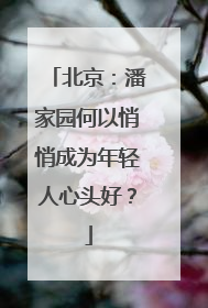 北京：潘家园何以悄悄成为年轻人心头好？