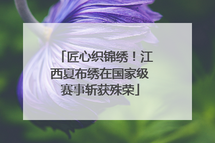 匠心织锦绣！江西夏布绣在国家级赛事斩获殊荣