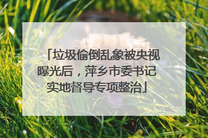 垃圾偷倒乱象被央视曝光后，萍乡市委书记实地督导专项整治