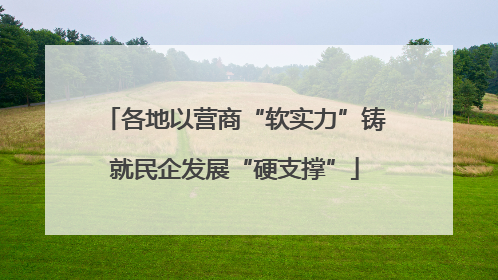 各地以营商“软实力”铸就民企发展“硬支撑”