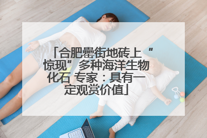 合肥罍街地砖上“惊现”多种海洋生物化石 专家：具有一定观赏价值