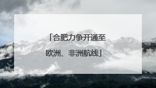 合肥力争开通至欧洲、非洲航线