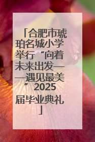 合肥市琥珀名城小学举行“向着未来出发——遇见最美”2025届毕业典礼