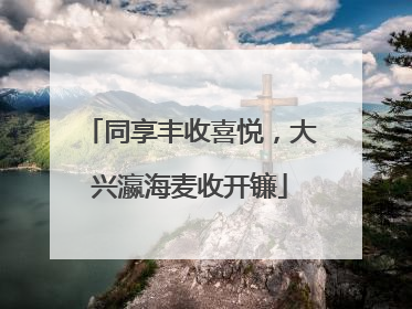 同享丰收喜悦，大兴瀛海麦收开镰