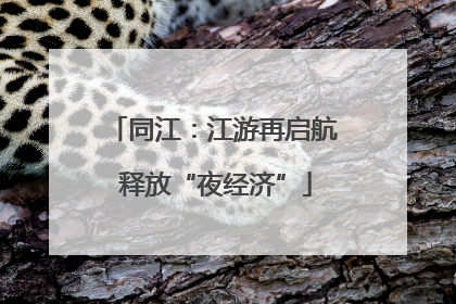 同江：江游再启航 释放“夜经济”