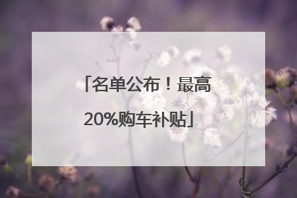 名单公布！最高20%购车补贴