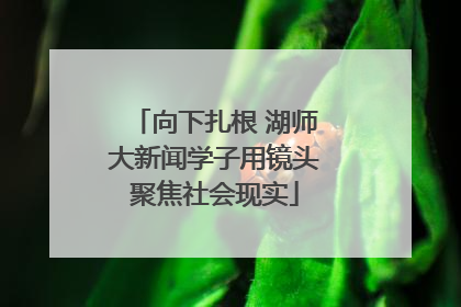 向下扎根 湖师大新闻学子用镜头聚焦社会现实
