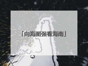 向海图强看海南