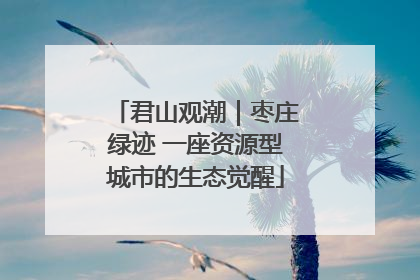 君山观潮｜枣庄绿迹 一座资源型城市的生态觉醒