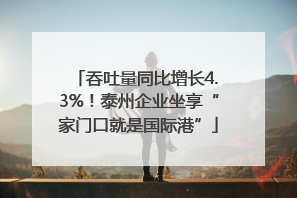 吞吐量同比增长4.3%！泰州企业坐享“家门口就是国际港”