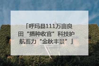呼玛县111万亩良田“播种收官”科技护航蓄力“金秋丰景”