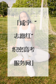 咸宁“志愿红”织密高考服务网