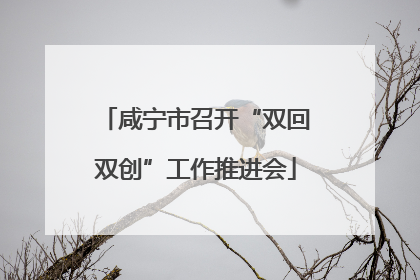 咸宁市召开“双回双创”工作推进会