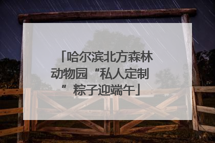 哈尔滨北方森林动物园“私人定制”粽子迎端午