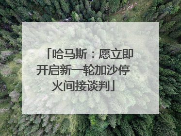 哈马斯：愿立即开启新一轮加沙停火间接谈判