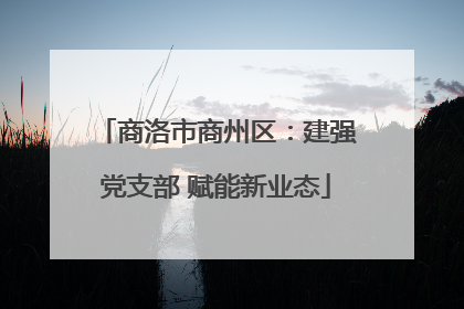 商洛市商州区：建强党支部 赋能新业态
