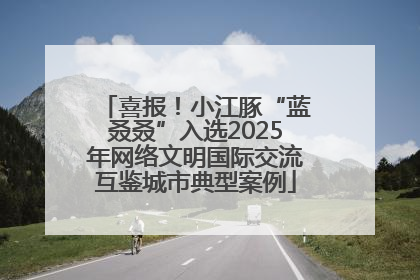 喜报！小江豚“蓝叒叒”入选2025年网络文明国际交流互鉴城市典型案例