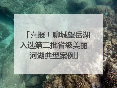 喜报！聊城望岳湖入选第二批省级美丽河湖典型案例