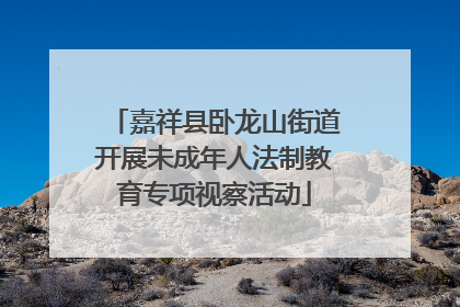 嘉祥县卧龙山街道开展未成年人法制教育专项视察活动