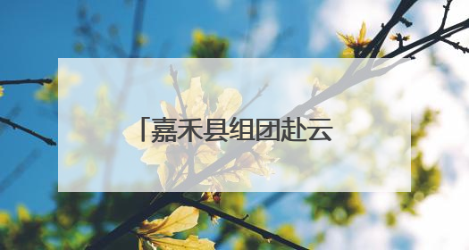 嘉禾县组团赴云南考察 共探产业发展新路径