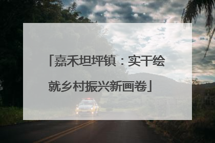 嘉禾坦坪镇：实干绘就乡村振兴新画卷