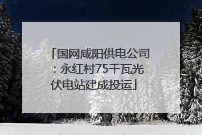 国网咸阳供电公司：永红村75千瓦光伏电站建成投运