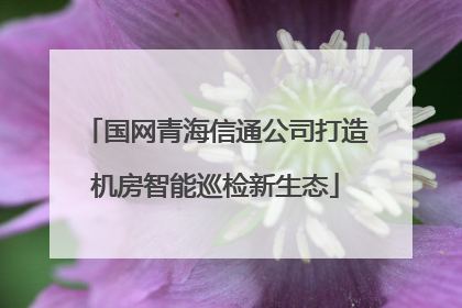 国网青海信通公司打造机房智能巡检新生态