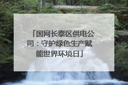 国网长泰区供电公司：守护绿色生产赋能世界环境日