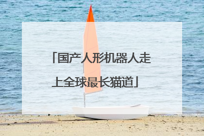 国产人形机器人走上全球最长猫道