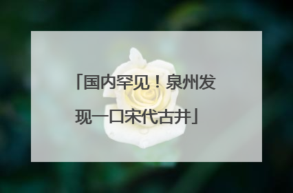 国内罕见！泉州发现一口宋代古井