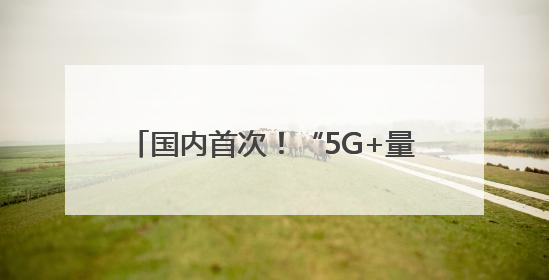 国内首次！“5G+量子”虚拟电厂调度车网互动在合肥规模化实测