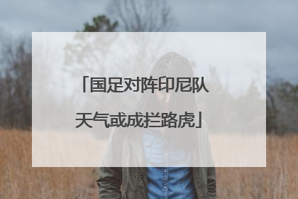 国足对阵印尼队 天气或成拦路虎