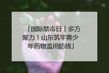 国际禁毒日丨多方聚力！山东筑牢青少年药物滥用防线