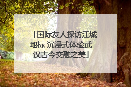 国际友人探访江城地标 沉浸式体验武汉古今交融之美