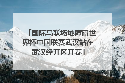 国际马联场地障碍世界杯中国联赛武汉站在武汉经开区开赛