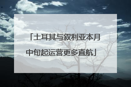 土耳其与叙利亚本月中旬起运营更多直航