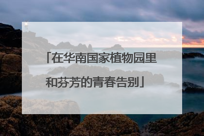 在华南国家植物园里和芬芳的青春告别