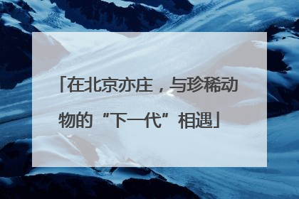在北京亦庄，与珍稀动物的“下一代”相遇