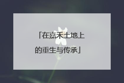 在嘉禾土地上的重生与传承