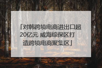 对韩跨境电商进出口超20亿元 威海综保区打造跨境电商聚集区