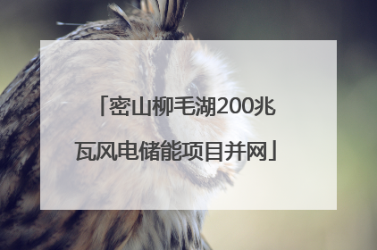 密山柳毛湖200兆瓦风电储能项目并网