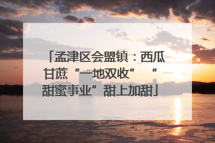 孟津区会盟镇：西瓜甘蔗“一地双收” “甜蜜事业”甜上加甜