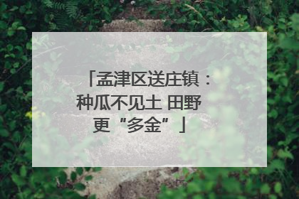 孟津区送庄镇：种瓜不见土 田野更“多金”